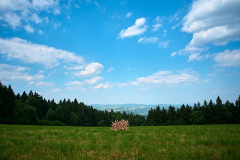 Horst_250619-kohlmaier-x-heri-u-salli-57 © Maximilian Wessely